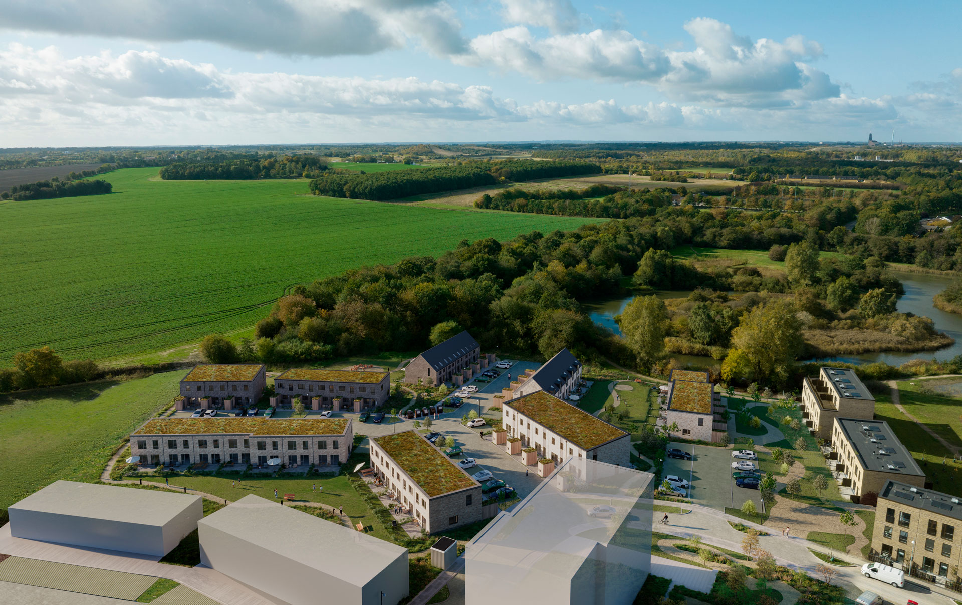 Ahorn Rækkerne Fra Luften Visualisering