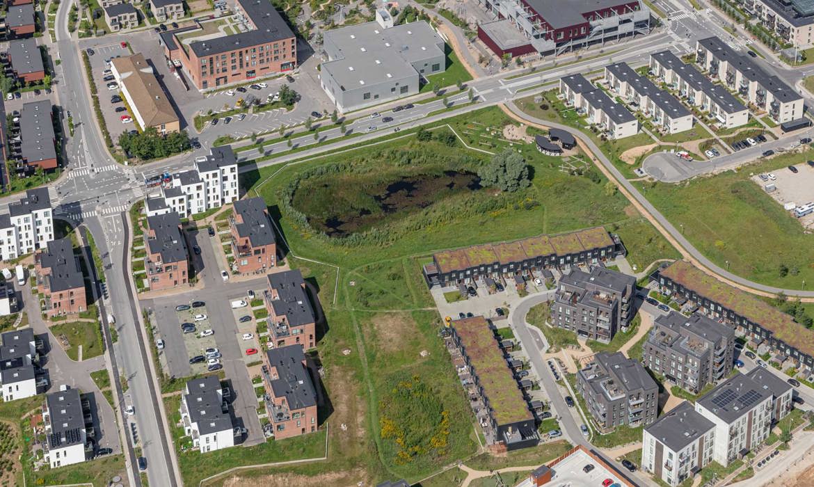 Det centrale Nærheden og Salamandersøen