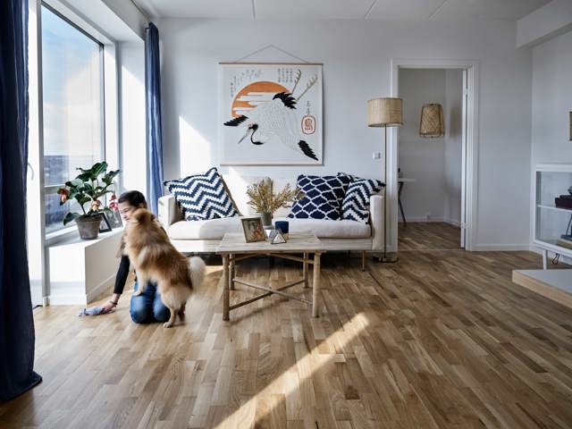 Pige Hund